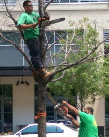 Tag Team Trimming