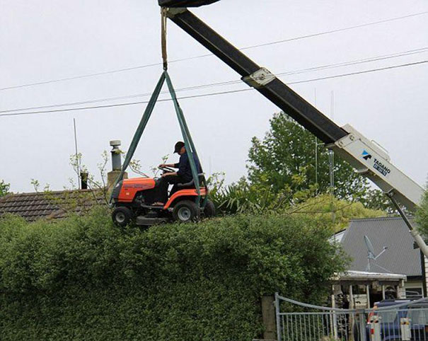 Hedge Trimming