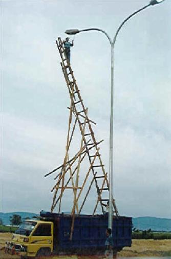 A Collapsible Ladder