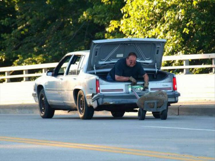 Trunk Truck