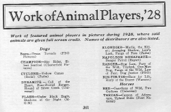Animal Players